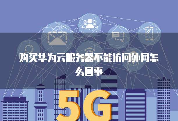 购买华为云服务器不能访问外网怎么回事