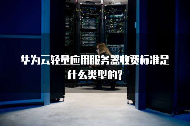 华为云轻量应用服务器收费标准是什么类型的?