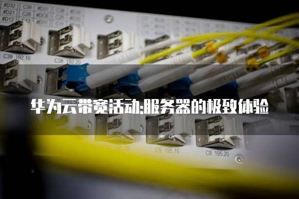 华为云带宽活动:服务器的极致体验