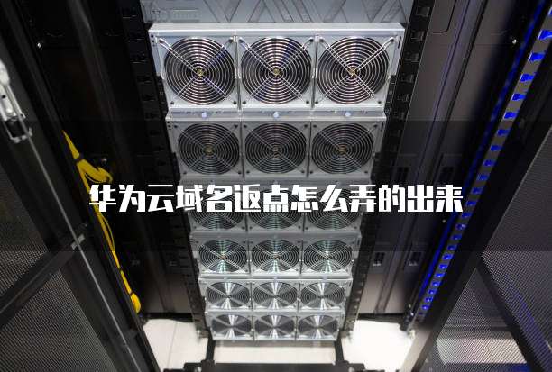 华为云域名返点怎么弄的出来