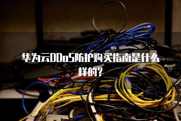 华为云DDoS防护购买指南是什么样的?