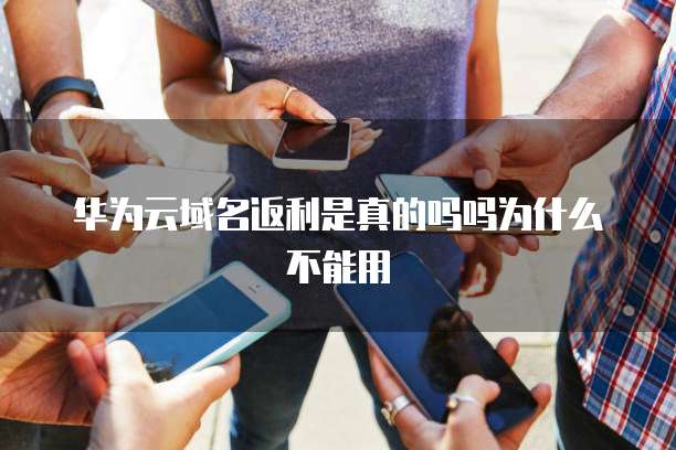 华为云域名返利是真的吗吗为什么不能用