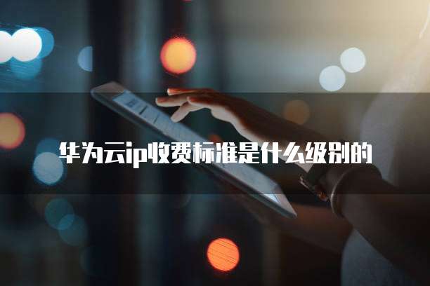 华为云ip收费标准是什么级别的