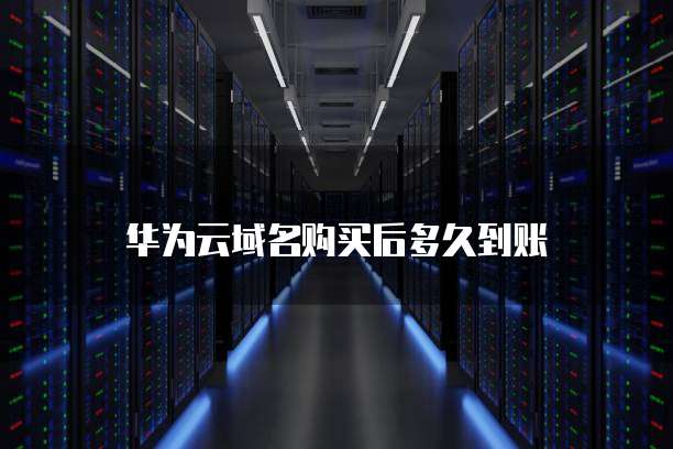 华为云域名购买后多久到账