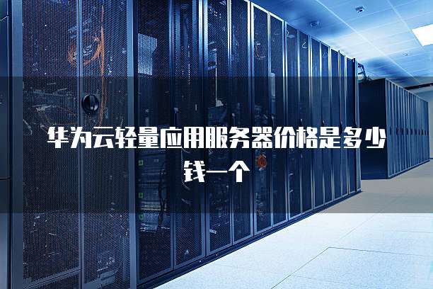 华为云轻量应用服务器价格是多少钱一个
