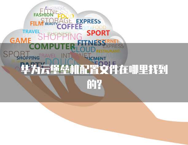 华为云堡垒机配置文件在哪里找到的?