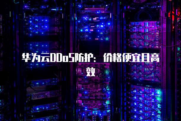 华为云DDoS防护:价格便宜且高效