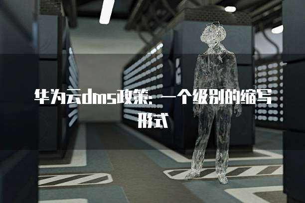华为云dms政策: 一个级别的缩写形式