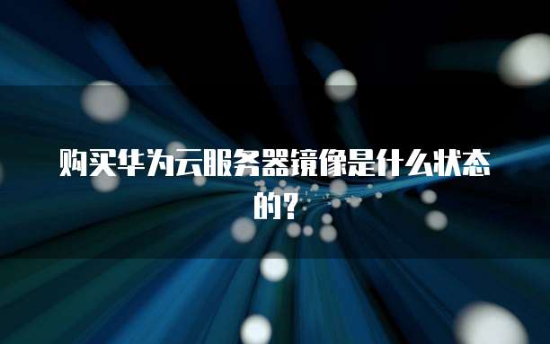 购买华为云服务器镜像是什么状态的?