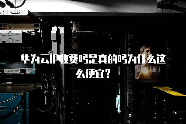 华为云IP收费吗是真的吗为什么这么便宜？
