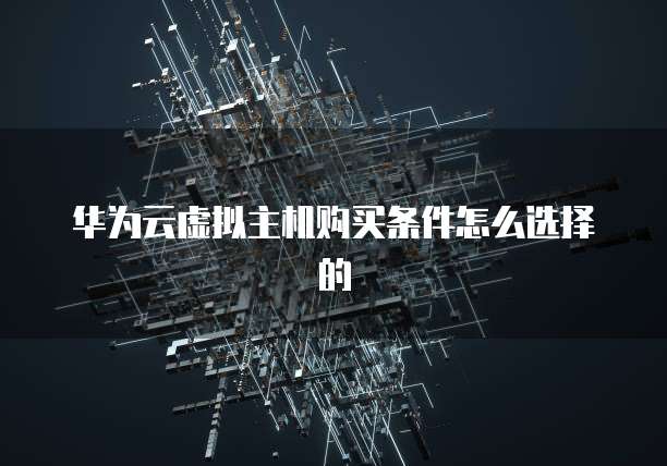 华为云虚拟主机购买条件怎么选择的
