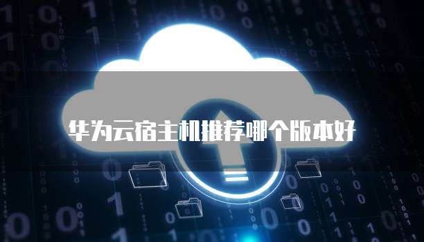 华为云宿主机推荐哪个版本好