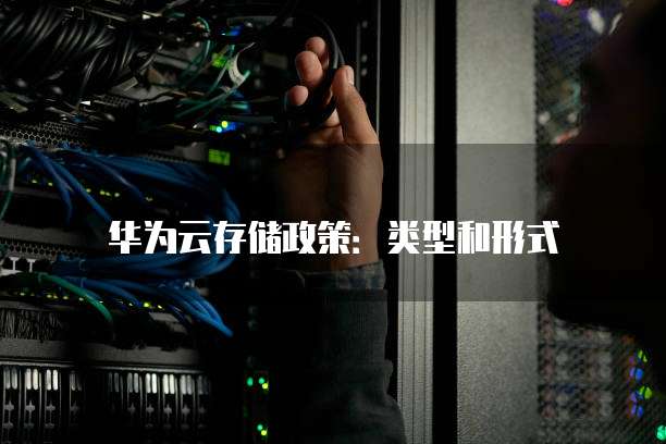 华为云存储政策:类型和形式