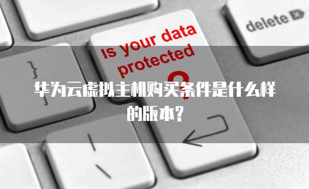 华为云虚拟主机购买条件是什么样的版本?