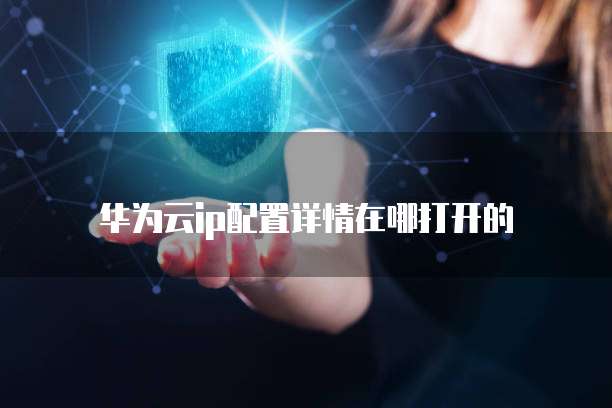 华为云ip配置详情在哪打开的