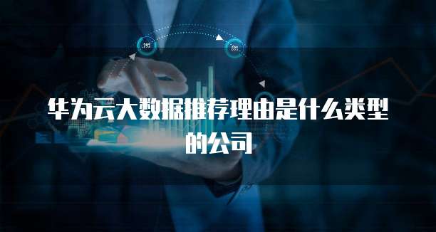 华为云大数据推荐理由是什么类型的公司