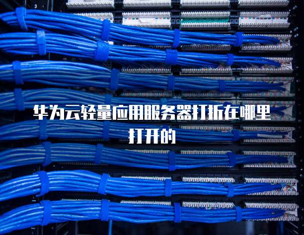 华为云轻量应用服务器打折在哪里打开的