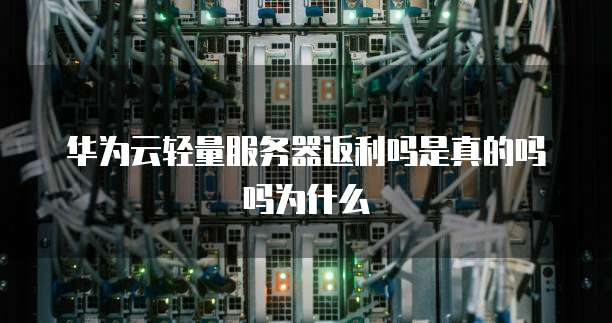 华为云轻量服务器返利吗是真的吗吗为什么