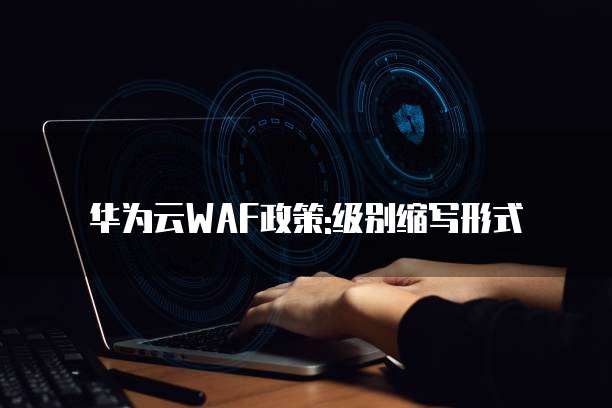 华为云WAF政策:级别缩写形式