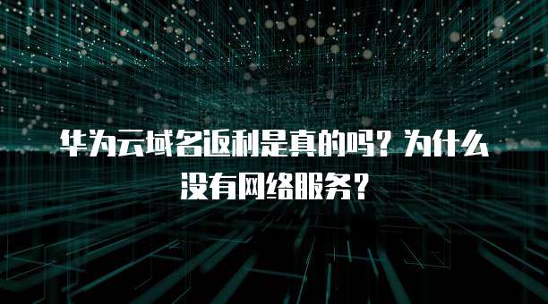华为云域名返利是真的吗？为什么没有网络服务？