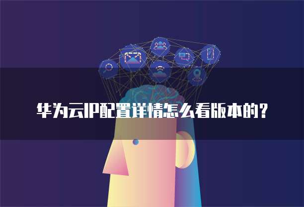 华为云IP配置详情怎么看版本的?