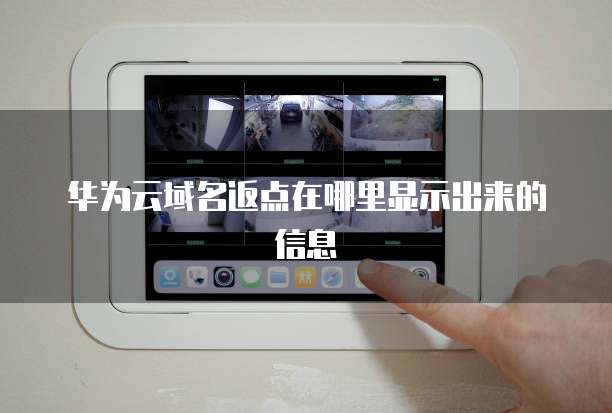 华为云域名返点在哪里显示出来的信息