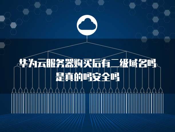 华为云服务器购买后有二级域名吗是真的吗安全吗