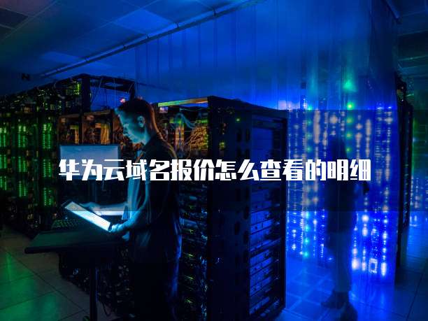 华为云域名报价怎么查看的明细