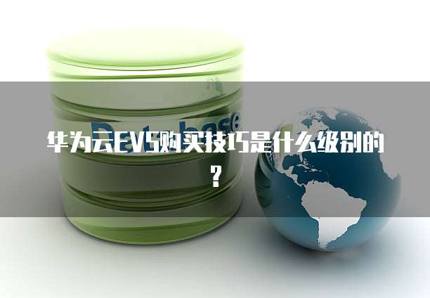 华为云EVS购买技巧是什么级别的?