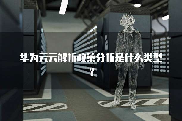 华为云云解析政策分析是什么类型？