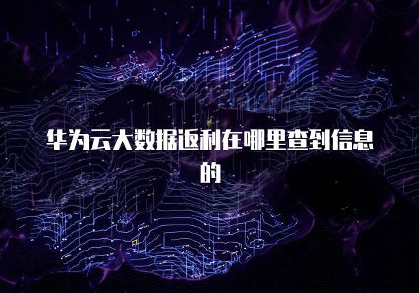 华为云大数据返利在哪里查到信息的