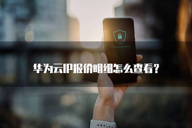华为云IP报价明细怎么查看?