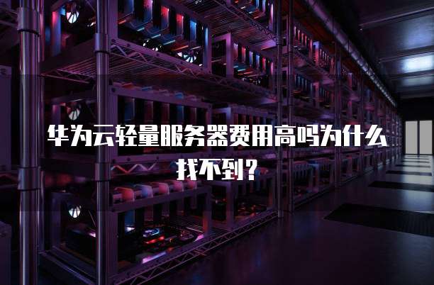 华为云轻量服务器费用高吗为什么找不到?