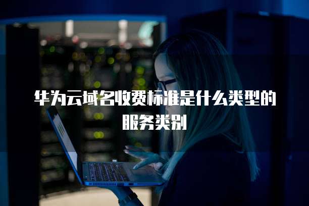 华为云域名收费标准是什么类型的服务类别