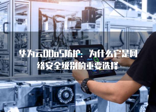 华为云DDoS防护:为什么它是网络安全级别的重要选择