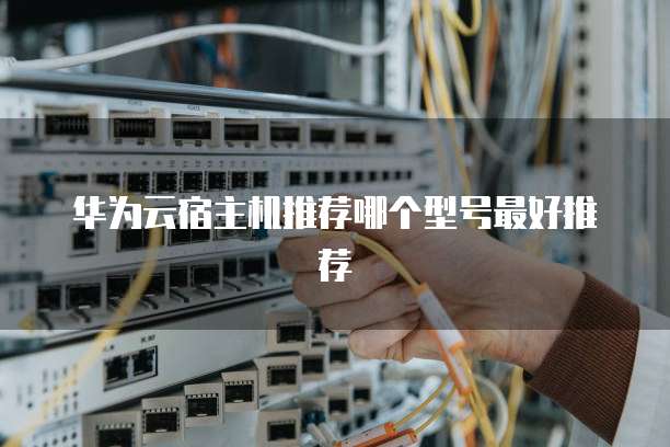 华为云宿主机推荐哪个型号最好推荐