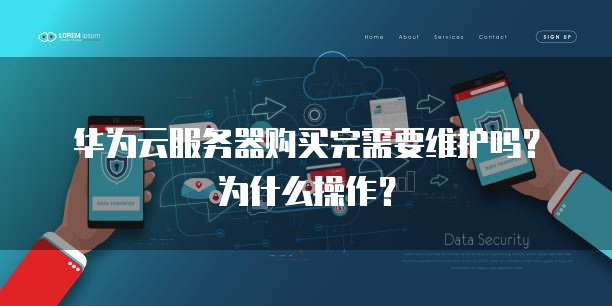 华为云服务器购买完需要维护吗?为什么操作?