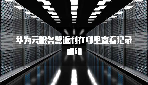 华为云服务器返利在哪里查看记录明细
