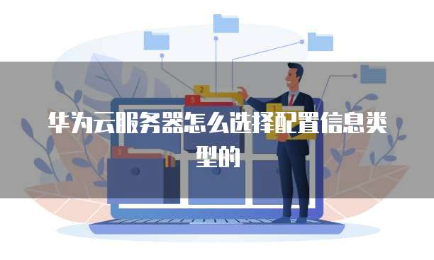 华为云服务器怎么选择配置信息类型的
