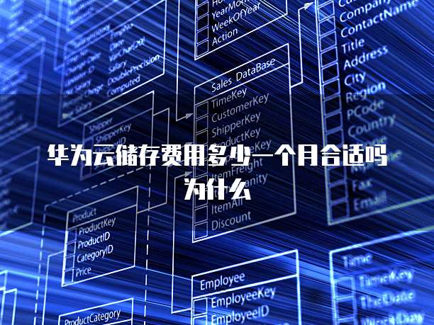 华为云储存费用多少一个月合适吗为什么