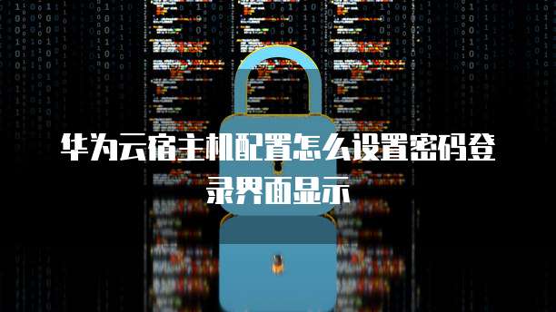 华为云宿主机配置怎么设置密码登录界面显示