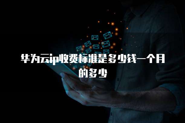华为云ip收费标准是多少钱一个月的多少