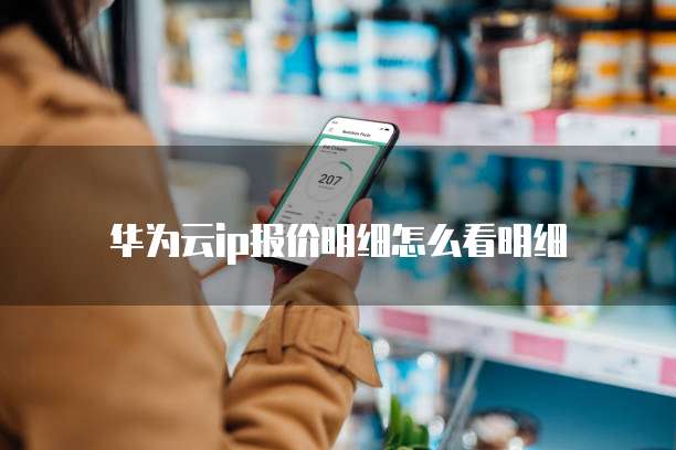 华为云ip报价明细怎么看明细
