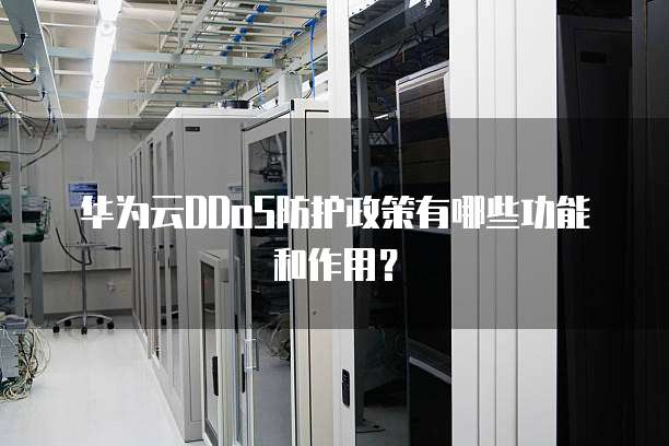 华为云DDoS防护政策有哪些功能和作用?