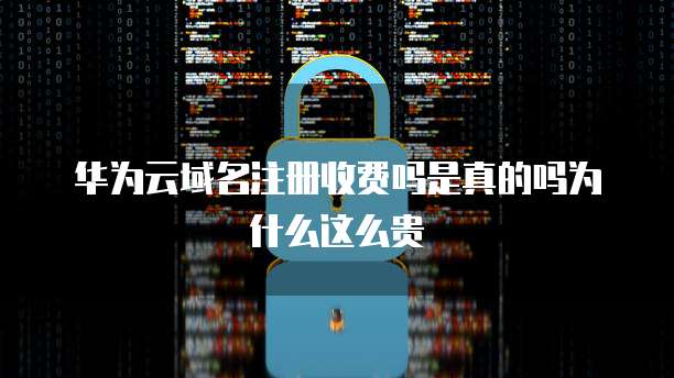 华为云域名注册收费吗是真的吗为什么这么贵