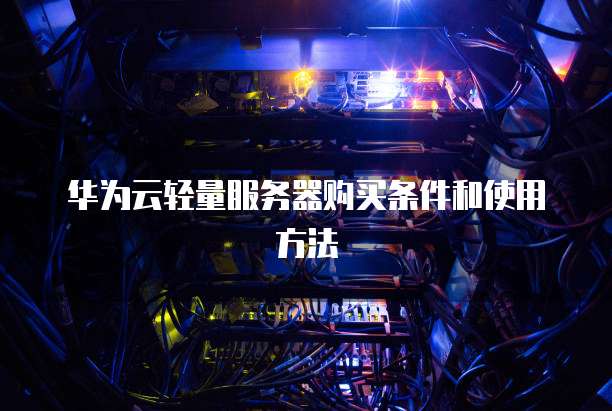 华为云轻量服务器购买条件和使用方法
