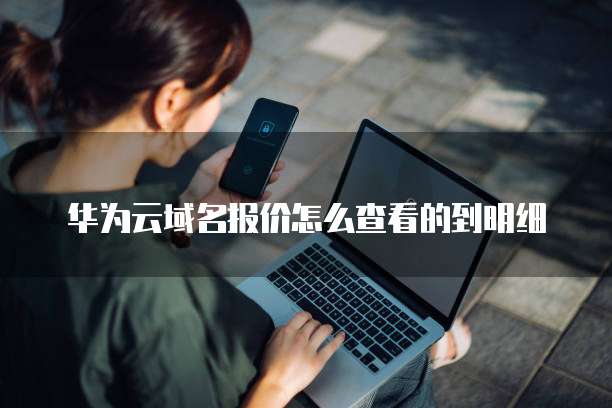 华为云域名报价怎么查看的到明细