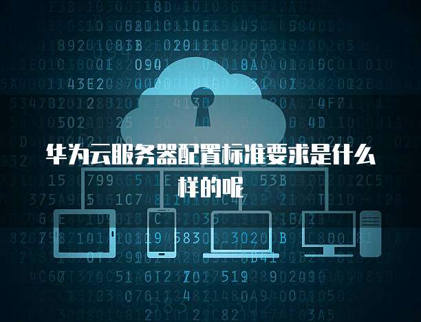 华为云服务器配置标准要求是什么样的呢