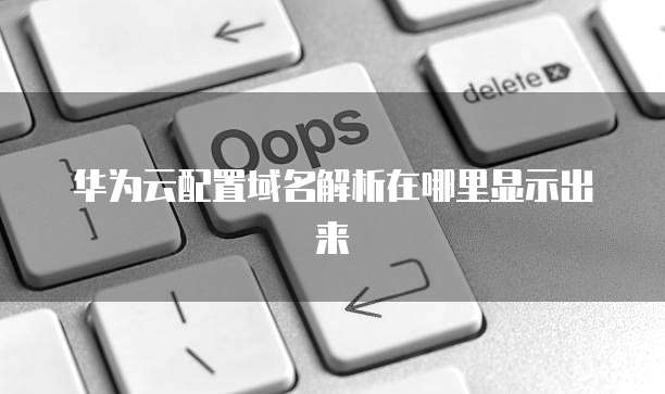 华为云配置域名解析在哪里显示出来