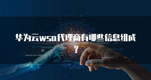 华为云wsa代理商有哪些信息组成？